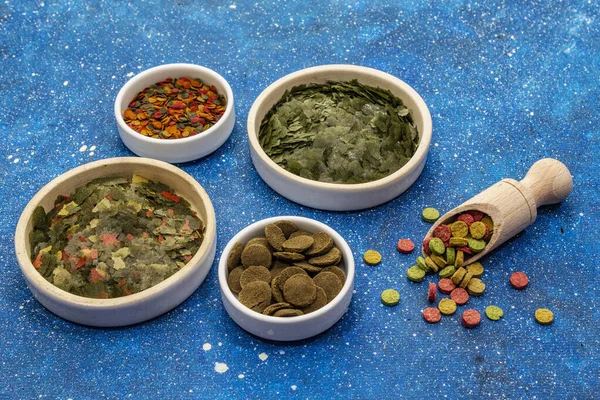 Akvaryum balığı için farklı yemek türleri. Flakes, spirulina, haplar, karışım. Deniz mavisi arka plan