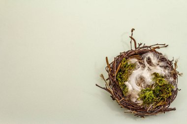 Paskalya kuşu yuvası. Sıfır israf, DIY konsepti. Yumuşak tüyler, yosun. Işık arkaplanı, kopyalama alanı, üst görünüm