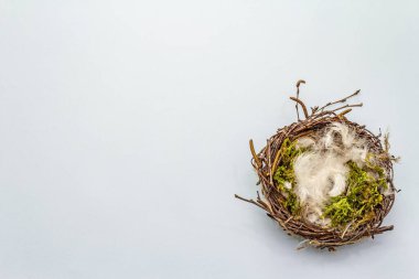 Paskalya kuşu yuvası. Sıfır israf, DIY konsepti. Yumuşak tüyler, yosun. Açık mavi arkaplan, boşluk kopyala, üst görünüm