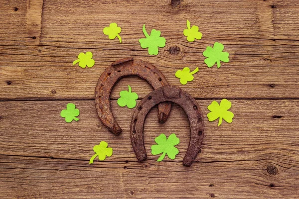 Deux Fers Cheval Fonte Feuilles Clou Girofle Symbole Bonne Chance — Photo