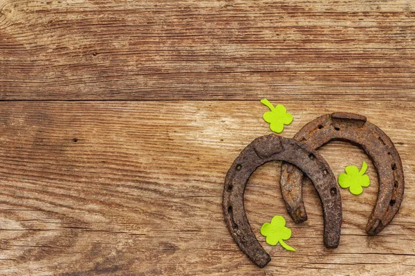 Deux Fers Cheval Fonte Feuilles Clou Girofle Symbole Bonne Chance — Photo