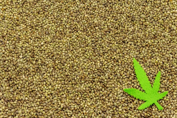 Hemp Seeds Background Felt Hemp Leaf Trend Food Medicine Beauty — Stock Photo, Image