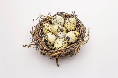 Beyaz arka planda izole edilmiş bıldırcın yumurtaları olan Paskalya kuşu yuvası. Sıfır israf, DIY konsepti. Yumuşak tüyler, huş dalları