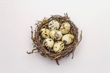 Beyaz arka planda izole edilmiş bıldırcın yumurtaları olan Paskalya kuşu yuvası. Sıfır israf, DIY konsepti. Yumuşak tüyler, huş dalları
