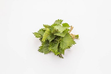 Beyaz arka planda taze yeşil ısırgan otu var. Bahar çorbası için geleneksel malzeme.