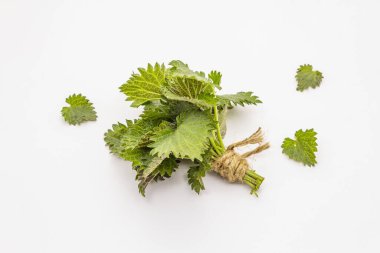 Beyaz arka planda taze yeşil ısırgan otu var. Bahar çorbası için geleneksel malzeme.