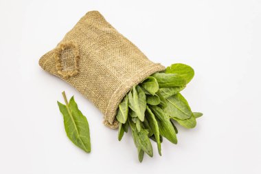 Beyaz arka planda izole edilmiş taze yeşil kuş. Bir torba eski kumaş, yama yap. Bahar çorbası için geleneksel malzeme.