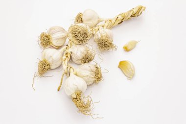 Beyaz arka planda izole edilmiş olgun sarımsak kafalar. Bir mahsülün depolanması için geleneksel demet