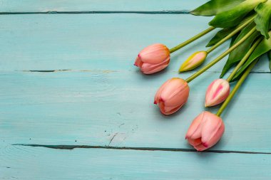 Tebrik kartı, duvar kağıdı, fon. Anneler Günün kutlu olsun, Paskalya, Sevgililer Günü ya da Düğün. Turkuaz ahşap arka planda yumuşak pembe laleler