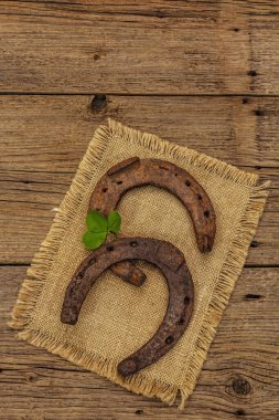 İki eski dökme demir at nalı, taze yonca yaprağı. İyi şanslar sembolü, Aziz Patrick Günü konsepti. Antika ahşap arka plan, at aksesuarları.