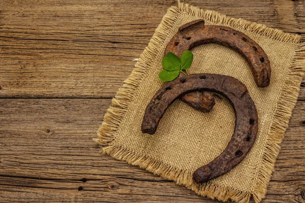 Dos Herraduras Caballo Hierro Fundido Muy Antiguas Hoja Trébol Fresca —  Fotos de Stock