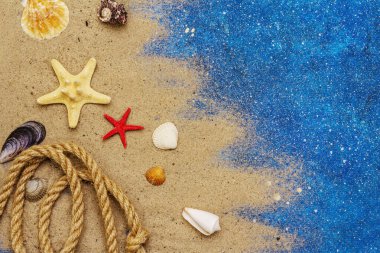 Deniz kabukları yaz arkaplanı. Bir sürü farklı deniz kabuğu üst üste yığılmış, deniz yıldızı. Donanma mavi denizcilik geçmişi