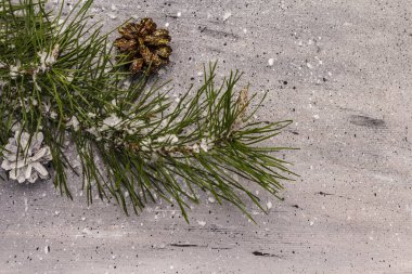 Yeni yıl konsepti. Çam dalı, koni, kar. Noel süslemeleri duvar kağıdı. Gri taş beton arka plan