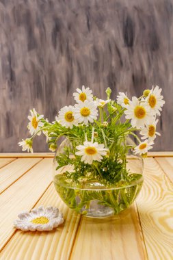 Bir buket papatya çayı. Taze çiçekler, tığ işi desenler. Alternatif tıp, yaşam tarzı. Tahta kaplama arka plan, kart.