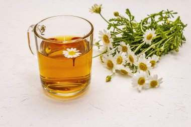 Papatya çayı. Taze çiçekler, yaz sıcak içecek konsepti. Alternatif tıp, yaşam tarzı. Beyaz macun arkaplanı, kopyalama alanı