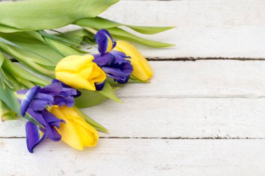 Taze bahar sarı laleler ve mor çiçekler beyaz ahşap arka planda.