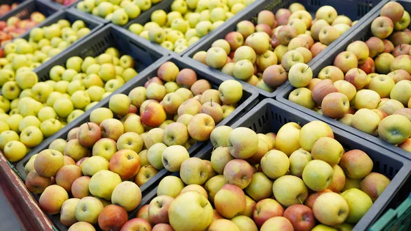 Vers Rood Groen Appelfruit Een Supermarkt — Stockfoto