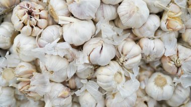 Beyaz sarımsak dokusu. Pazar masasında taze sarımsak. Yakın plan fotoğraf. Vitamin sağlıklı yiyecek baharatı görüntüsü. Baharatlı yemek malzemesi resmi. Beyaz sarımsak kafalar. Beyaz sarımsak kafa üst görünüm