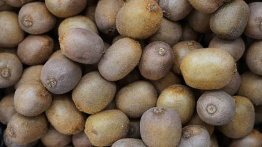 taze kivi desenli meyve arkaplanı