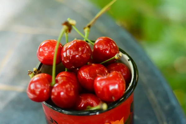 Cherries on wooden table with water drops summer macro background