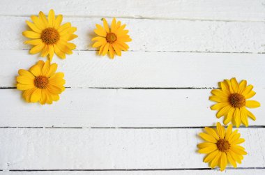 Beyaz ahşap arka planda çiçek çerçevesi. Boşluğu kopyala