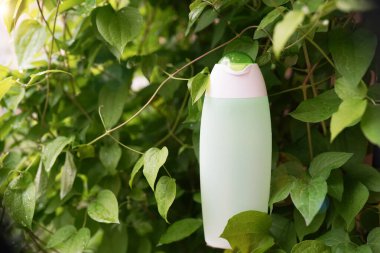 Doğal kozmetik ürünü olan şişe: losyon ya da taze bitkilerle dolu şampuan, yeşil arka plan, üst manzara. Güzellik, ten, saç veya vücut bakımı konsepti