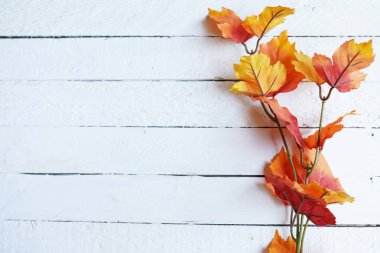Beyaz ahşap zemin üzerinde sonbahar yaprakları, düz uzanmış, üst görünüm, boşluk kopyala