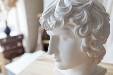 Rönesans dönemi. Apollo 'nun kafasının alçıtaşı heykeli. Vay be. Heykel. İzole edilmiş. Başı.