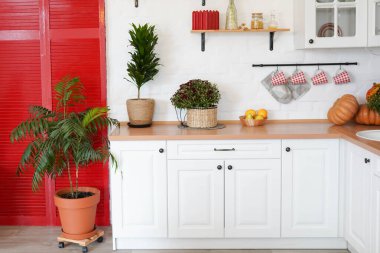 Kabak ve portakallı sonbahar mutfak dekorasyonu.