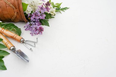 Çiçekli bahçe aletleri eflatun ve yeşil yapraklı beyaz masa. Boşluğu kopyala