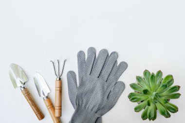 Bahçe aletleri ve çiçek sulu beyaz arkaplan