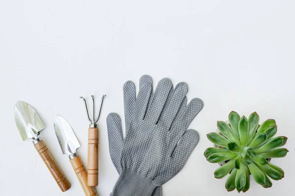 Bahçe aletleri ve çiçek sulu beyaz arkaplan