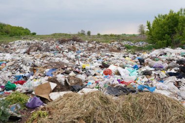 Plastik atık alanı, Kirli Sokak / Dünya Çevre Günü
