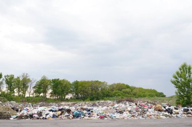 Küçük kasabalardaki atık kirliliği, bir kirlilik kaynağı olarak yanlış bir şekilde yakıldı ve ortadan kaldırıldı ve hastalığın yayıldı. .