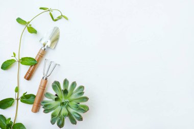 Bahçe aletleri ve sulu bitkiler. Beyaz arkaplanda izole.