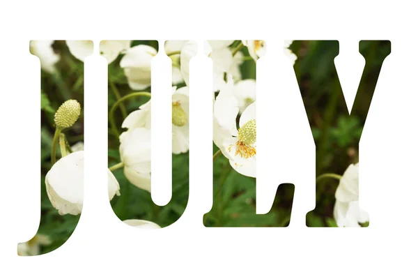 Las letras de julio, hechas de flores. Concepto de floración, verano —  Fotos de Stock