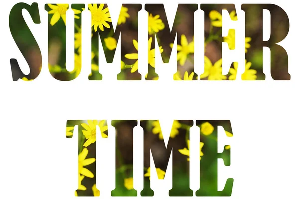 Цветочный шрифт Alphabet SUMER TIME выполнен из живых желтых цветов на фоне. Концепция цветения, лето — стоковое фото