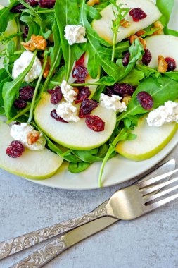 Elma salatası, roka, süzme peynir ve kuru kızılcık. Keto diyeti için salata. Keto öğle yemeği fikri.