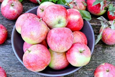 Tahta bir yüzeyde taze sulu pembe elmalar. Elma hasatı Ağaçtan koparılmış elmalar..