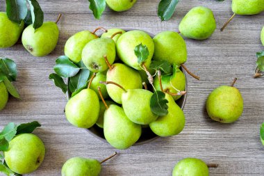 Bir kasede taze yeşil armutlar. Armut hasadı.