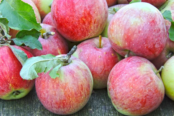 Las Manzanas Frescas Jugosas Rosadas Sobre Superficie Madera Cosecha Manzana — Foto de Stock