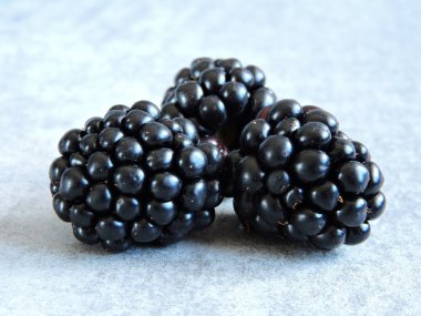 Hakiki böğürtlen. Doğal böğürtlen. Tatlı böğürtlen.