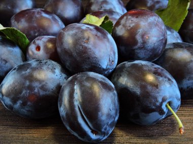 Koyu mavi arkaplanda parlak mavi erikler. Büyük mavi erikler.