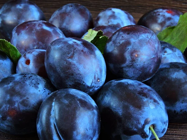 Bright blue plums on a dark wooden background. Large blue plums.