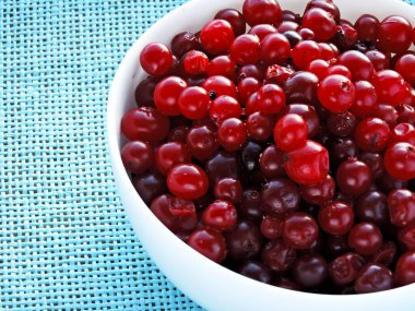 Böğürtlen böğürtlenleri beyaz bir kasede.