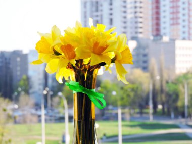 Sarı nergisler pencere eşiğindeki vazoda.