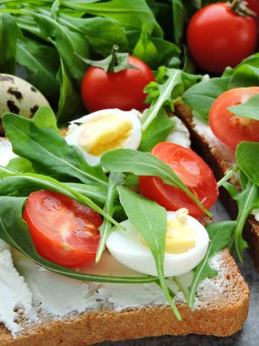 Buğday ekmekli tost roka, bıldırcın yumurtası ve vişneli domates. Faydalı atıştırmalık konsepti. Atıştırmalık bir şeyler. Parlak, lezzetli ve sağlıklı sağlık kadehleri. Roka ve krem peynirli sandviç.