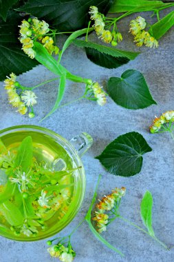 Yapraklar ve ıhlamur çiçekleri. Taze limon çayı. Linden çiçekleri. Çaya ıhlamur çiçeği hazırlamak. Ihlamur çiçeği çayı hasat ediyorum..