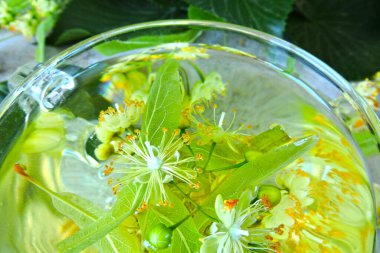 Yapraklar ve ıhlamur çiçekleri. Taze limon çayı. Linden çiçekleri. Çaya ıhlamur çiçeği hazırlamak. Ihlamur çiçeği çayı hasat ediyorum..