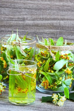 Yapraklar ve ıhlamur çiçekleri. Taze limon çayı. Linden çiçekleri. Çaya ıhlamur çiçeği hazırlamak. Ihlamur çiçeği çayı hasat ediyorum..